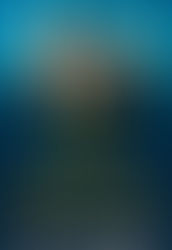 The Perfect Husband Gets 5 Stars 