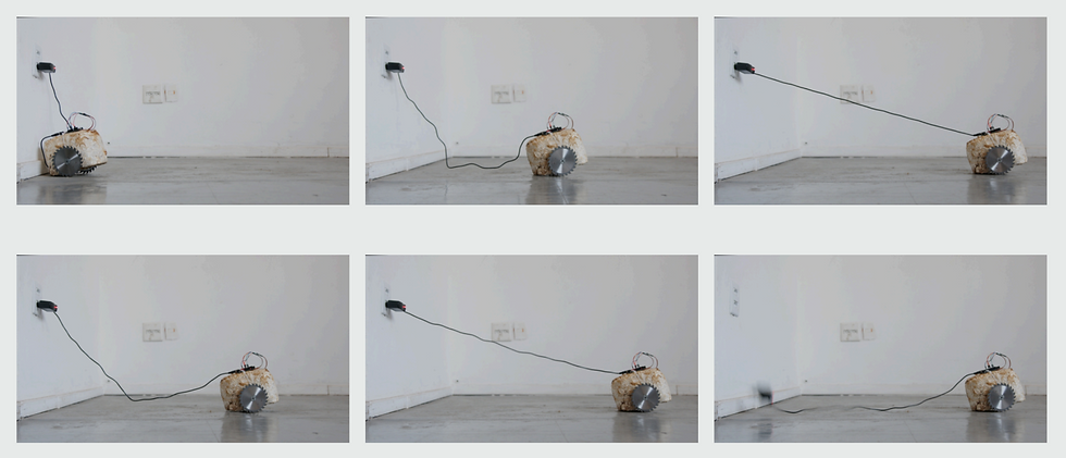 Materia suicida / Escultura cinética. 2026