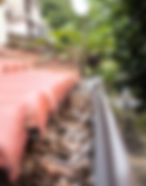 Gutter Cleaning Services