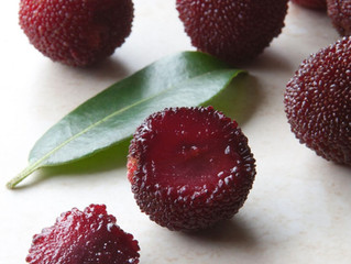 Y.V. Fresh Exposed: Ruhbi Red Bayberries