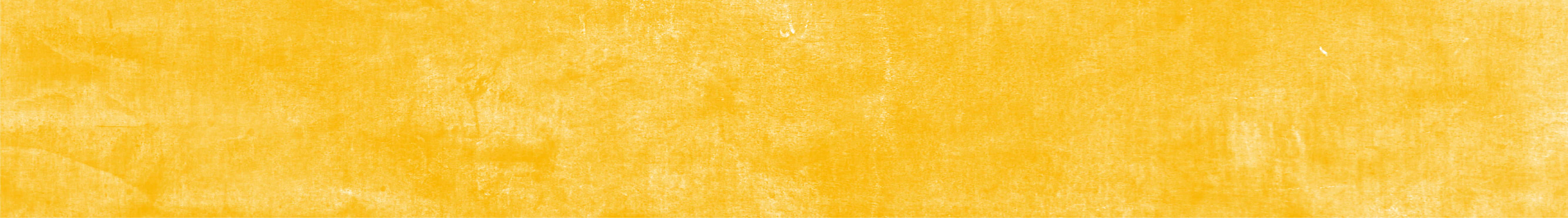 背景2_3x.png
