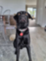 20220624_130938.jpg