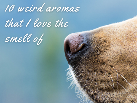 10 weird aromas that I love the smell of