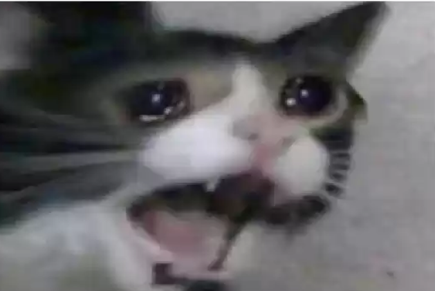 ree