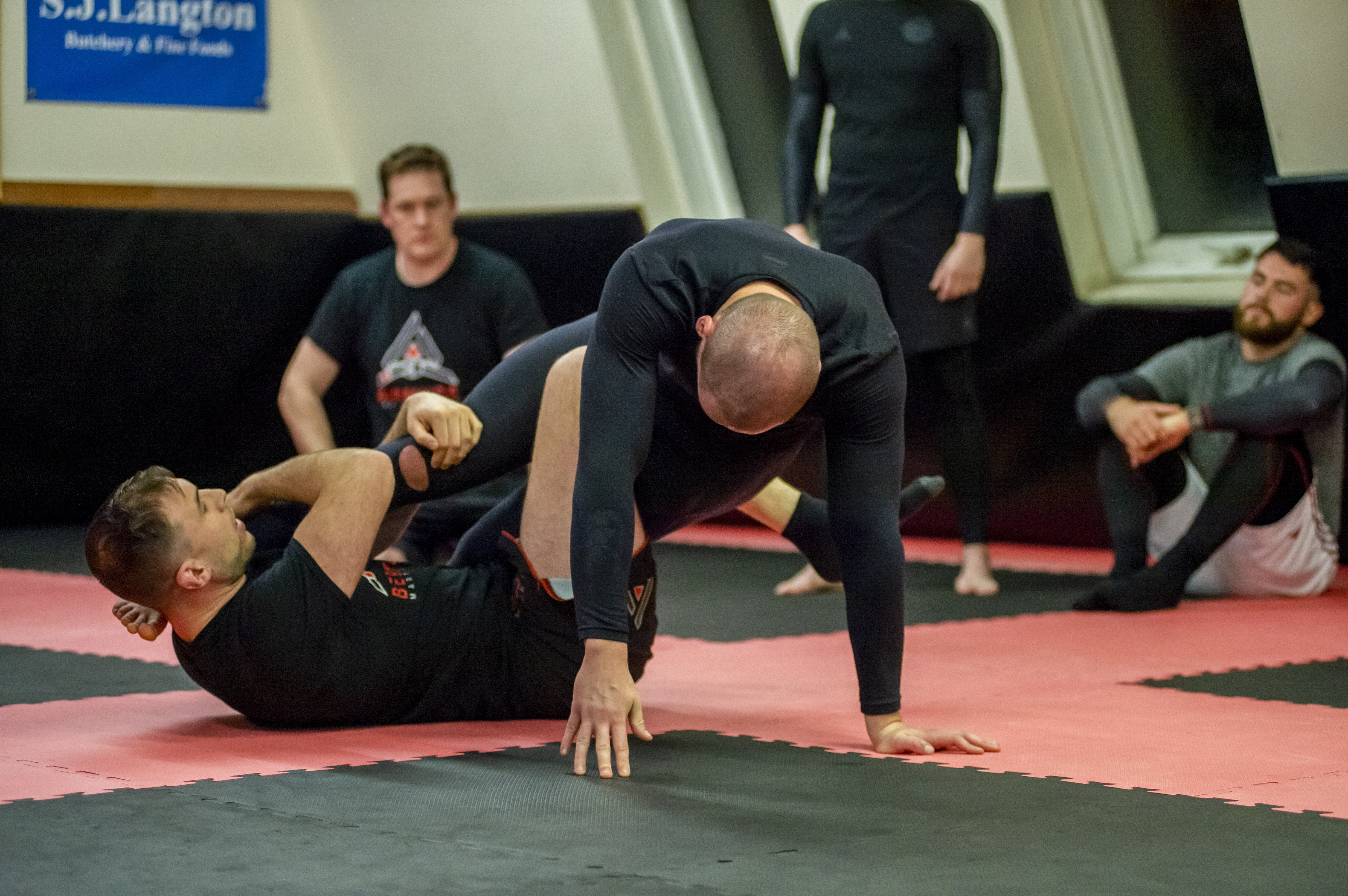 Bermuda Martial Arts