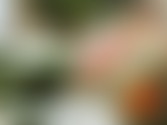 Woman on a green couch uses a pink fan, looking overheated in a sunlit room. Green plants and books on a shelf in the background.