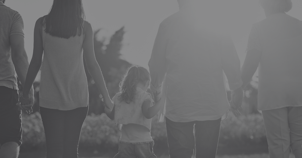 Backlit family walking hand in hand outdoors. Silhouetted figures include a child and adults with trees in the background. Monochrome tone.
