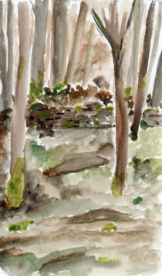 watercolor landscape woods autumn