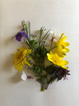 magic collage botanical art