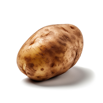 Organic russet potato from the side