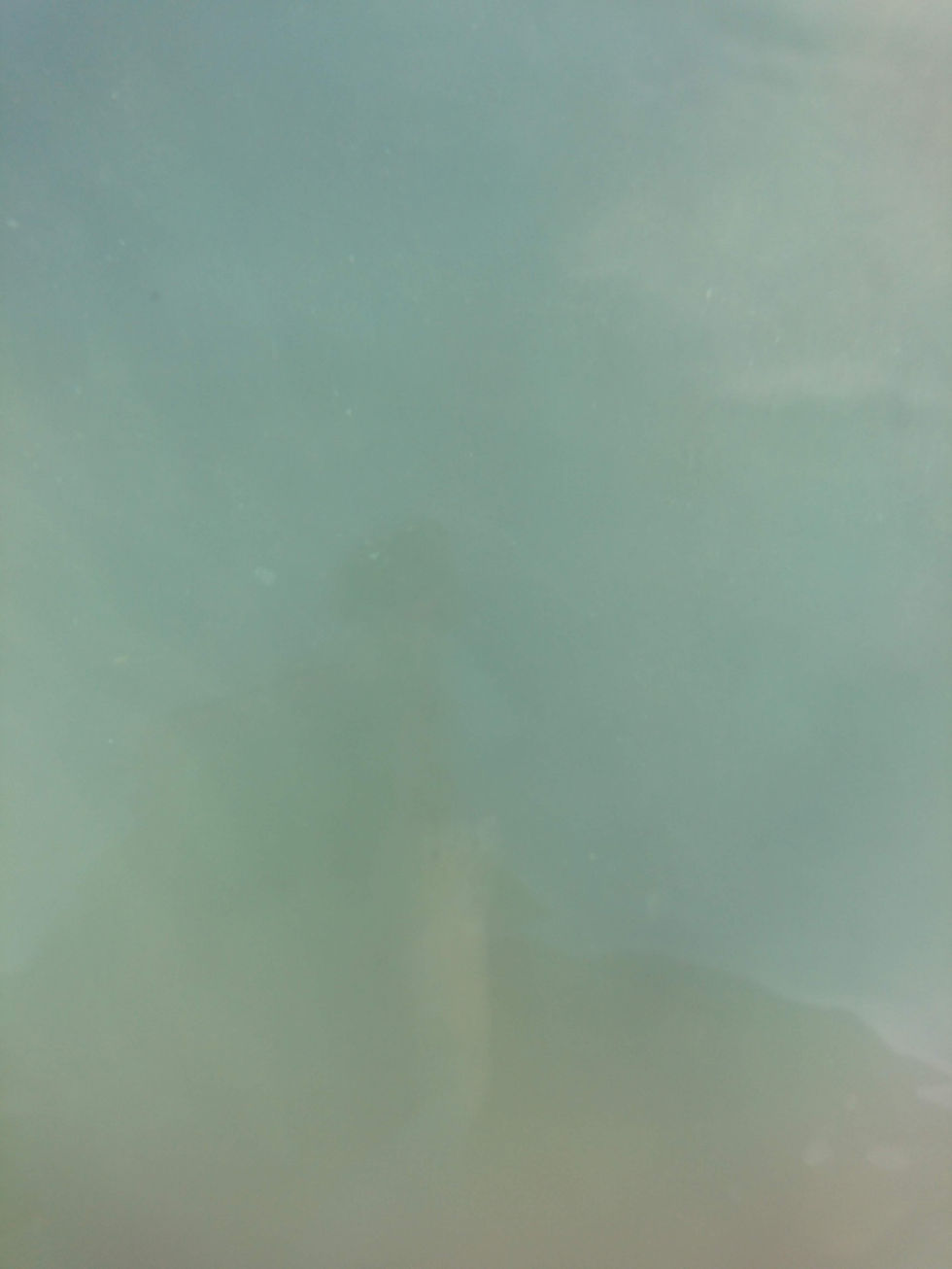 Aqua palette