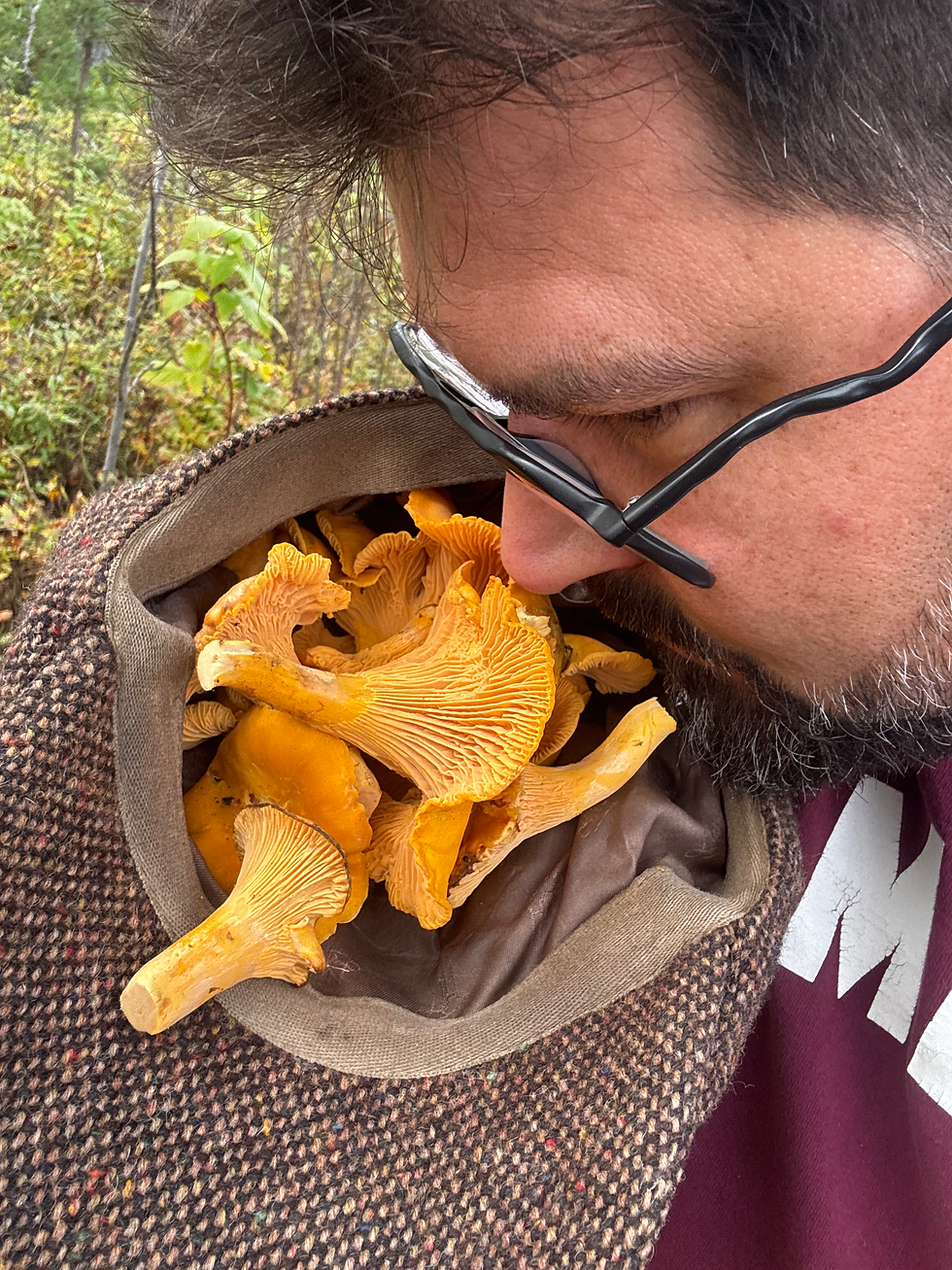 Golden Queens of Autumn