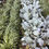 Thumbnail: The Permaculture Market Garden (book)