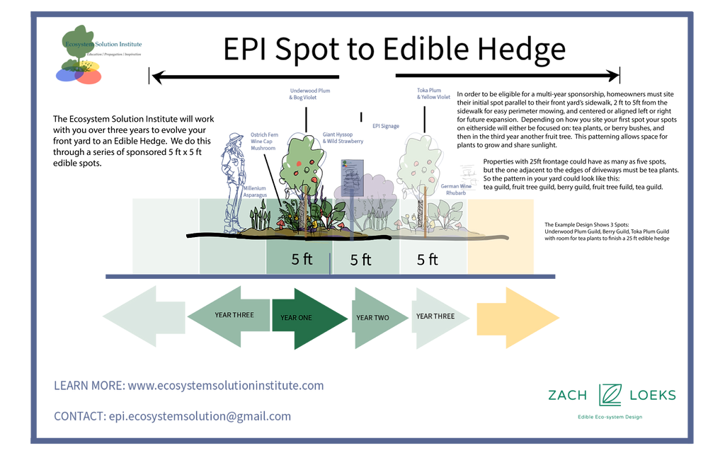EPI Spot to Edible hedge.png