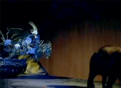 giphy (2).gif