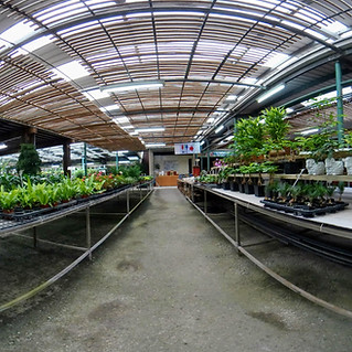 金谷農場-庭園的720環景圖