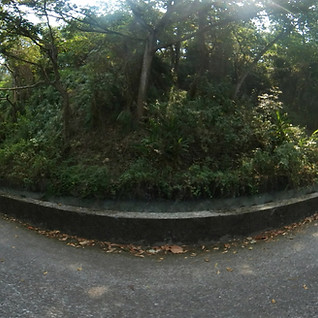 水流東桐花步道入口處720環景圖