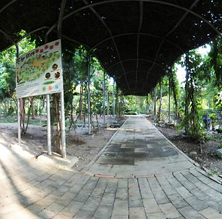 花樹銀行林木藝廊720環景圖