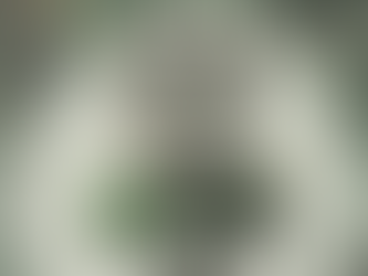 ¿Spotify es antimigrantes o antihumanos?