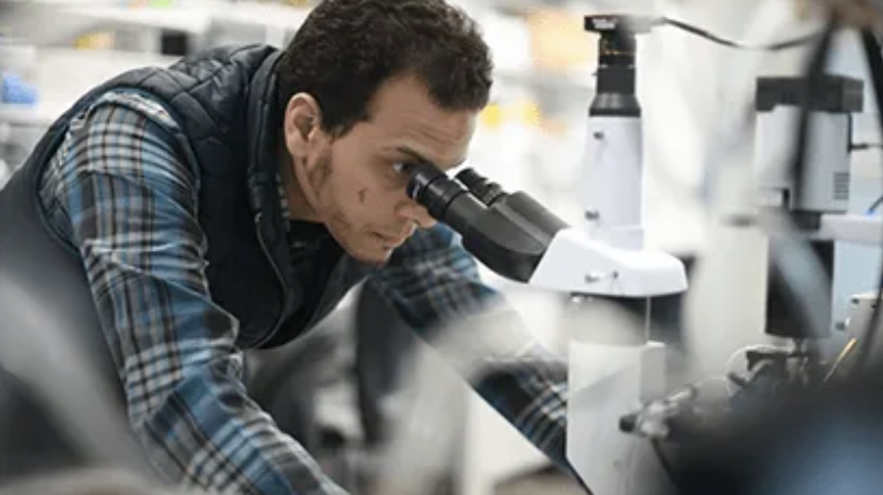 El investigador Osama Harraz mirando por un microscopio