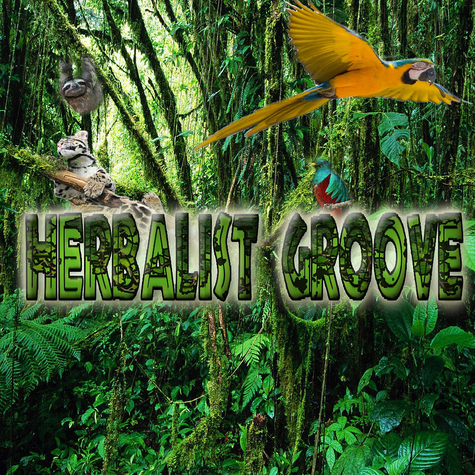 Herbalist groove bkgrd