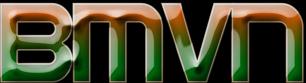 BMVN LOGO