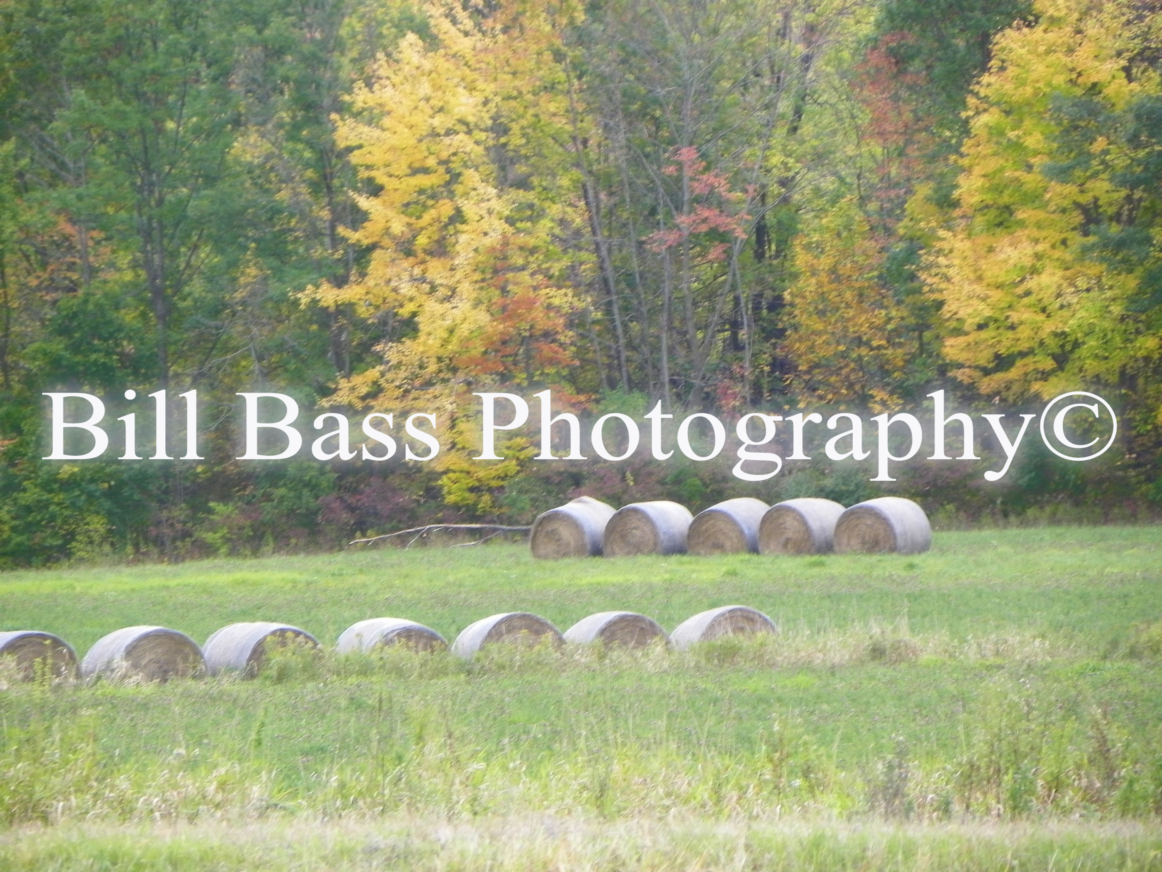 We Are Backing You Up