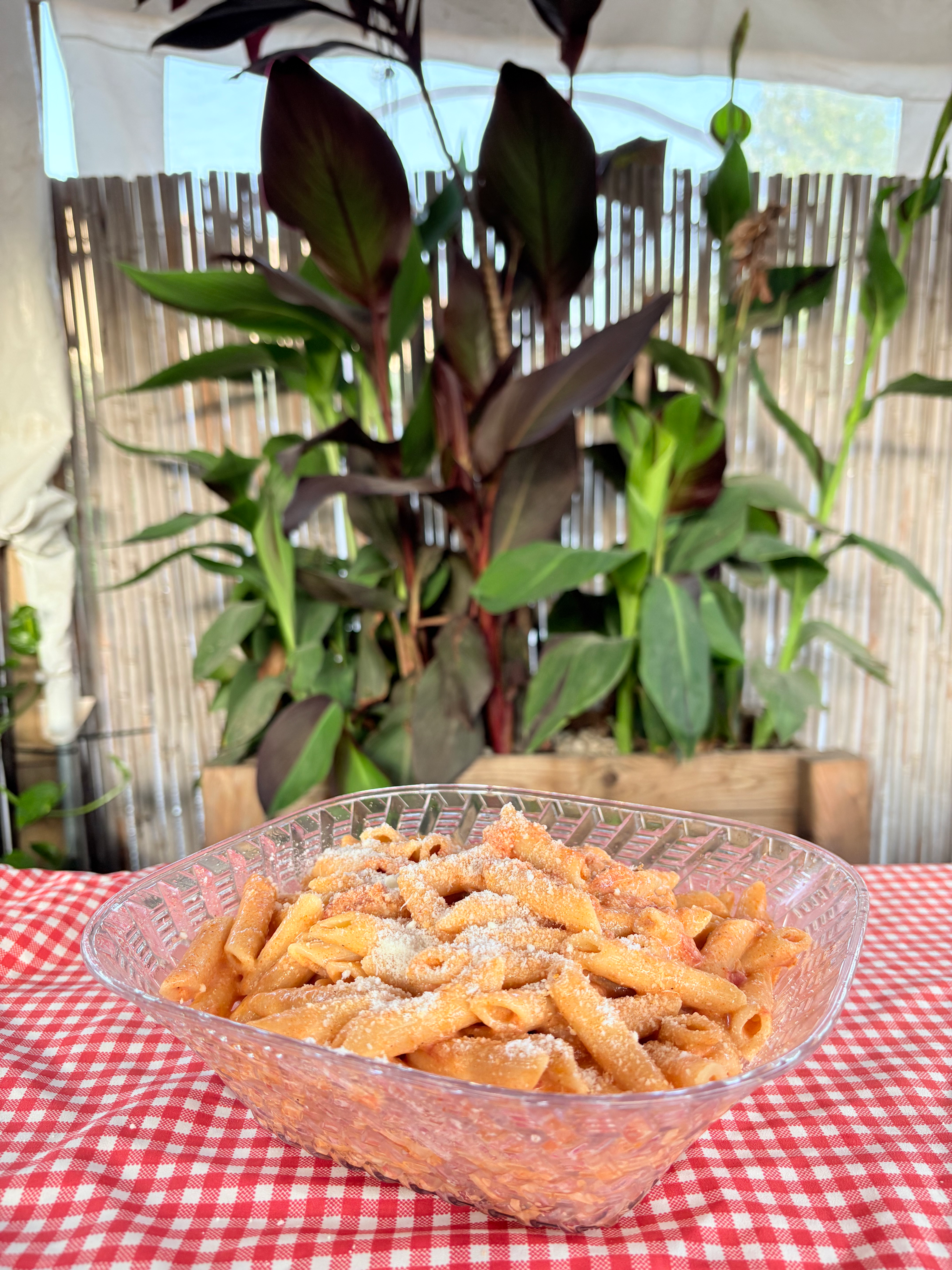 פסטה רוזה  3 ליטר