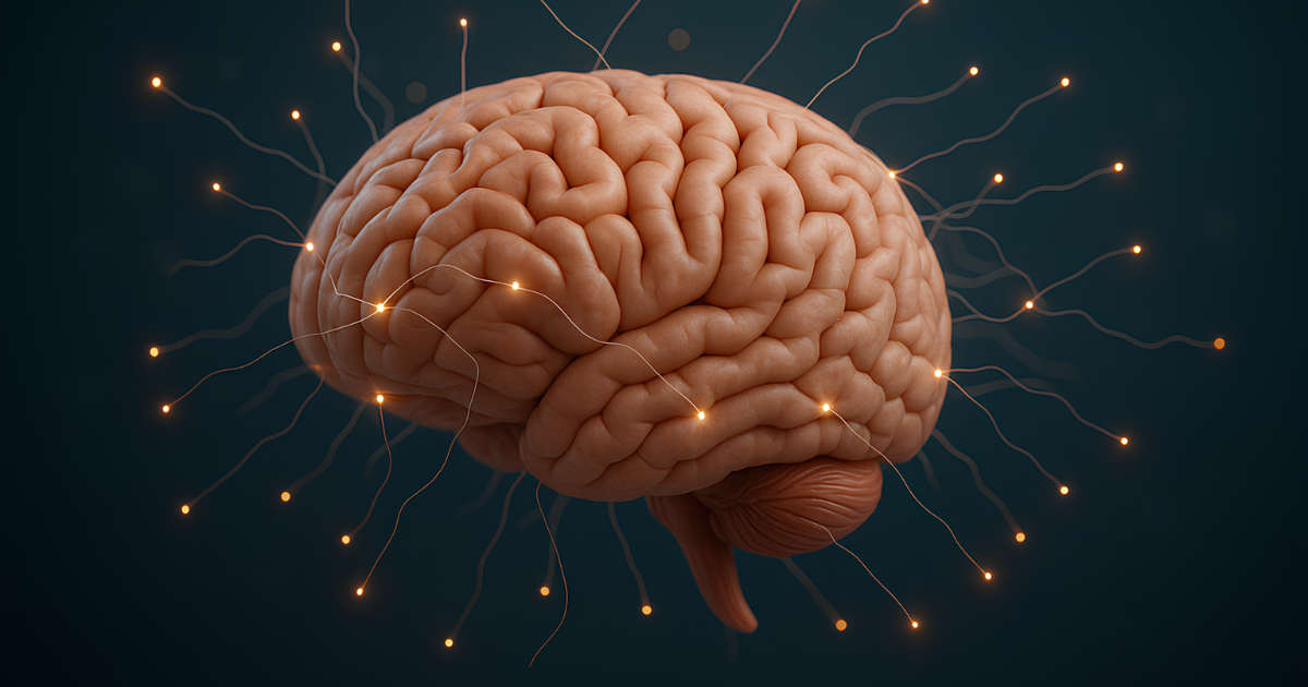Metabolismo cerebral e foco mental
