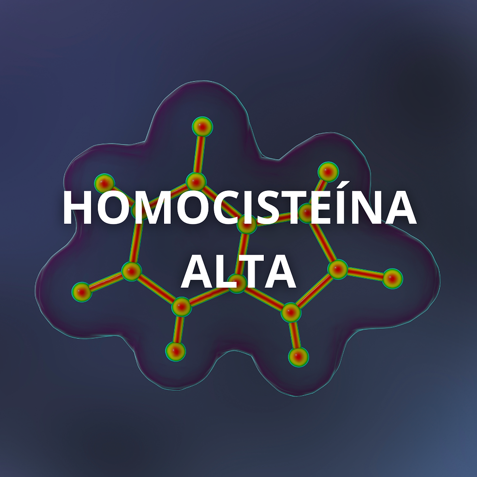 Ciclo metabólico da homocisteína no organismo