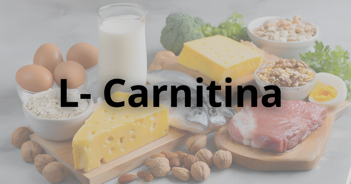 L-carnitina e transporte de gordura para mitocôndria