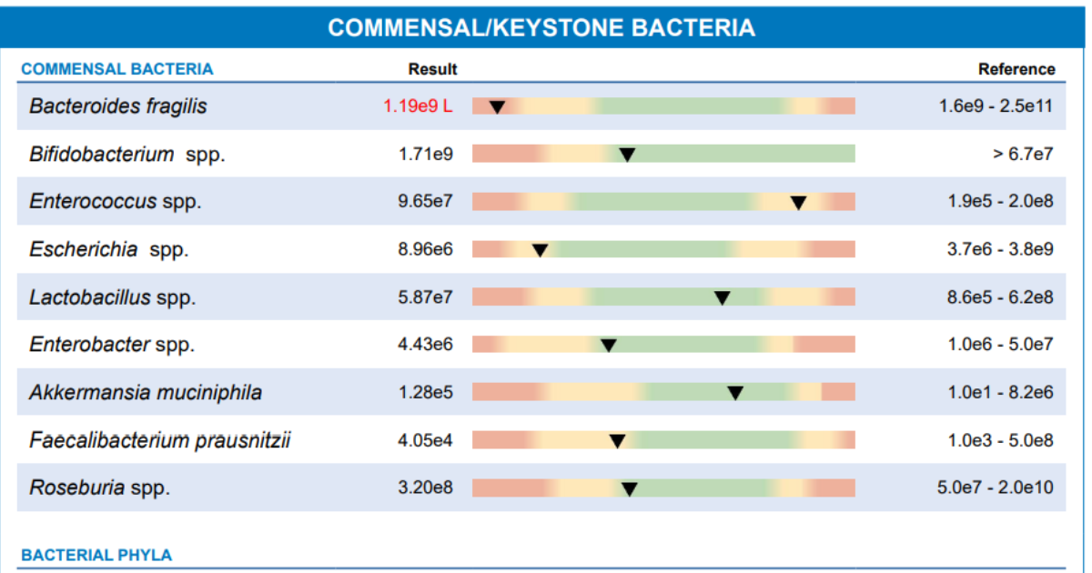 Exame de metabolômica mostrando perfil lipídico