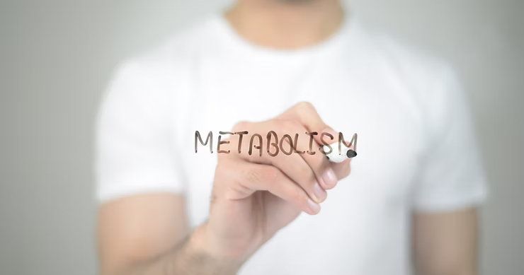 Mapa de vias metabólicas no exame de metabolômica