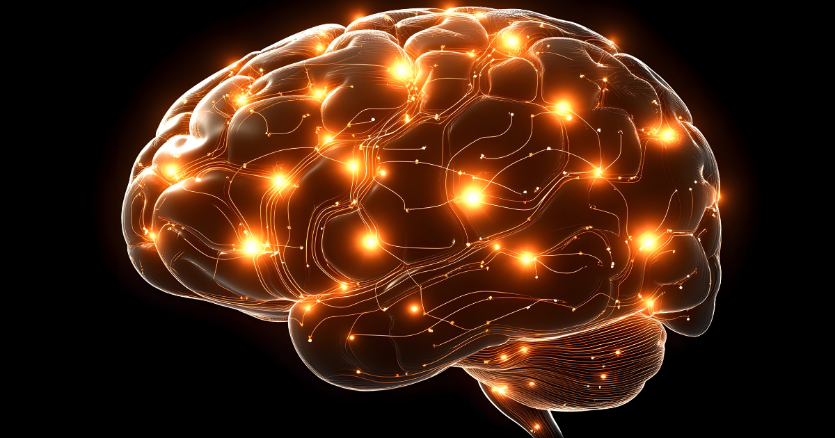 DHA e função cerebral