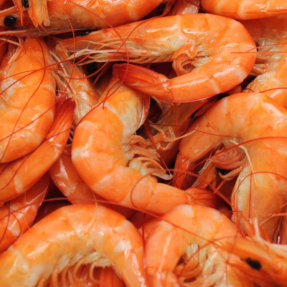 Fontes alimentares ricas em astaxantina