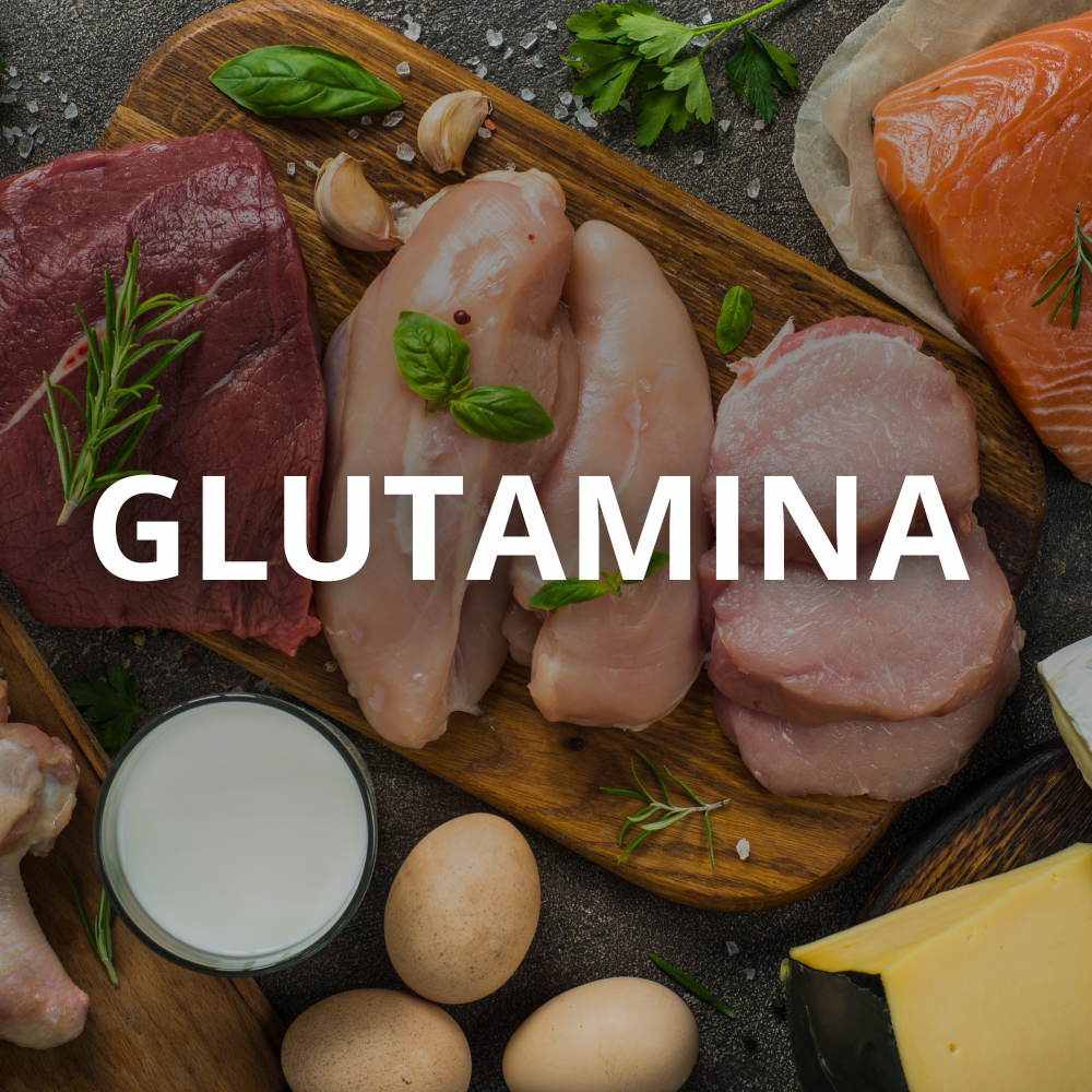Molécula de glutamina e suas ligações químicas