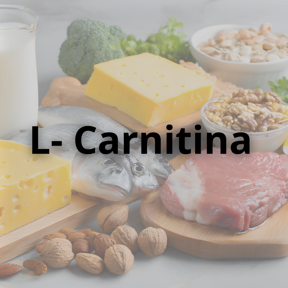 L-carnitina e emagrecimento saudável