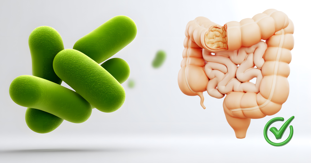 microbioma intestinal saudável 