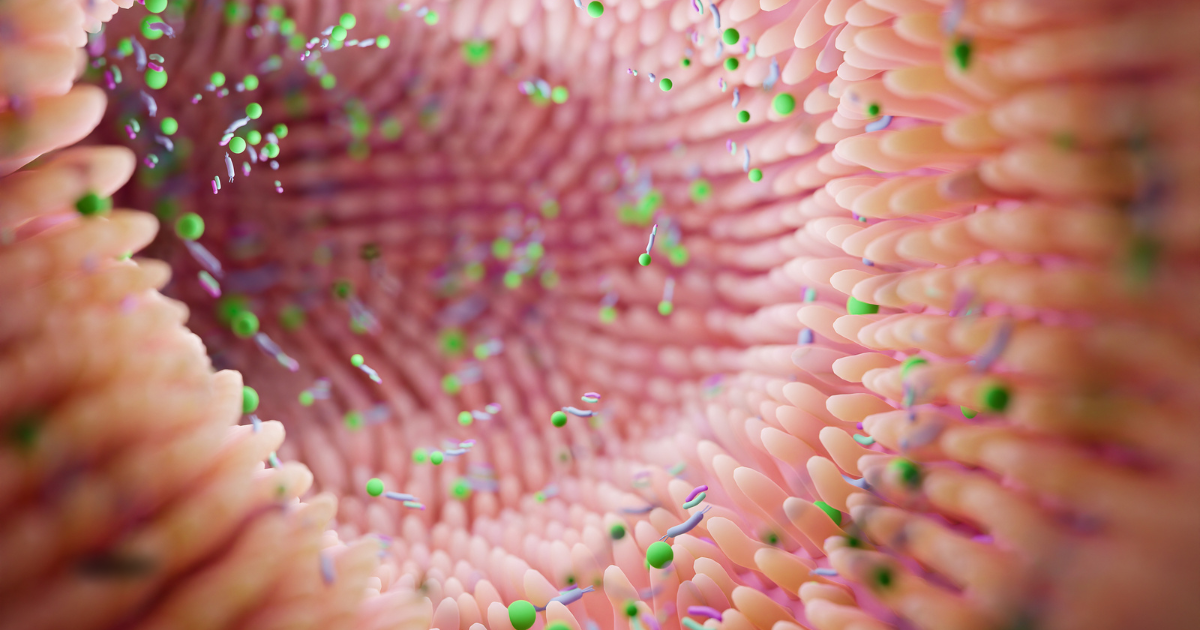 Representação da microbiota intestinal e bactérias