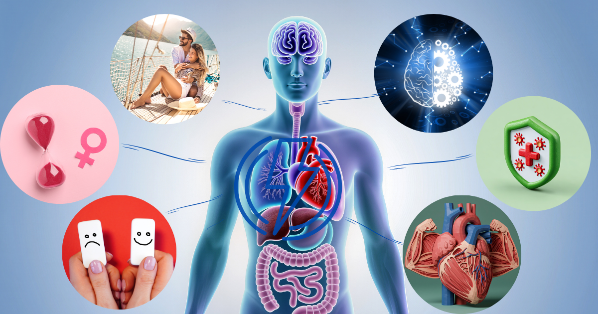  metabolismo energético e marcadores da maca peruana