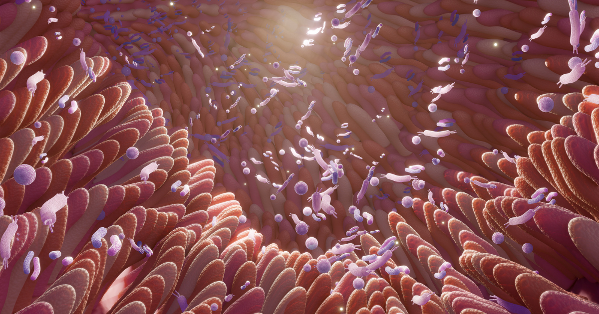 Microbiota e integridade da barreira intestinal