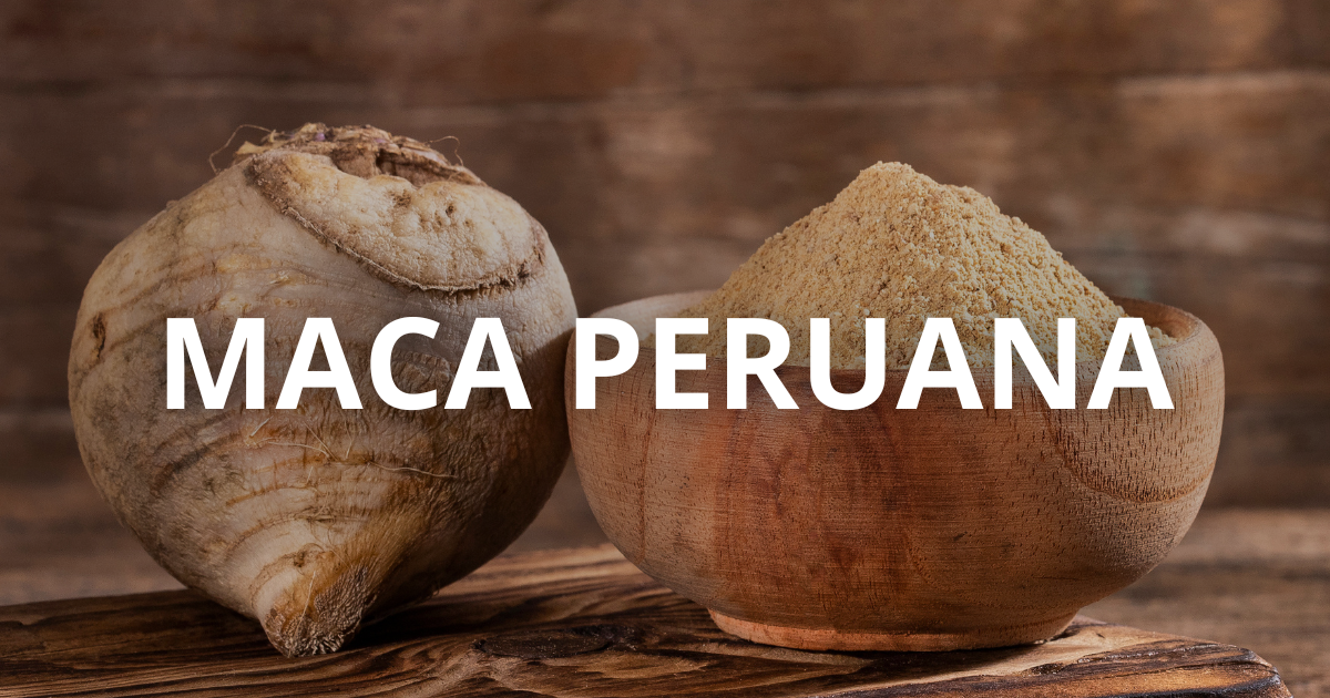  maca peruana em pó e raiz fresca