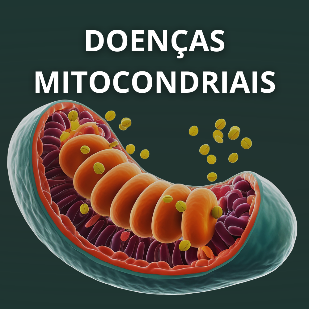 Mitocôndria e produção de energia celular
