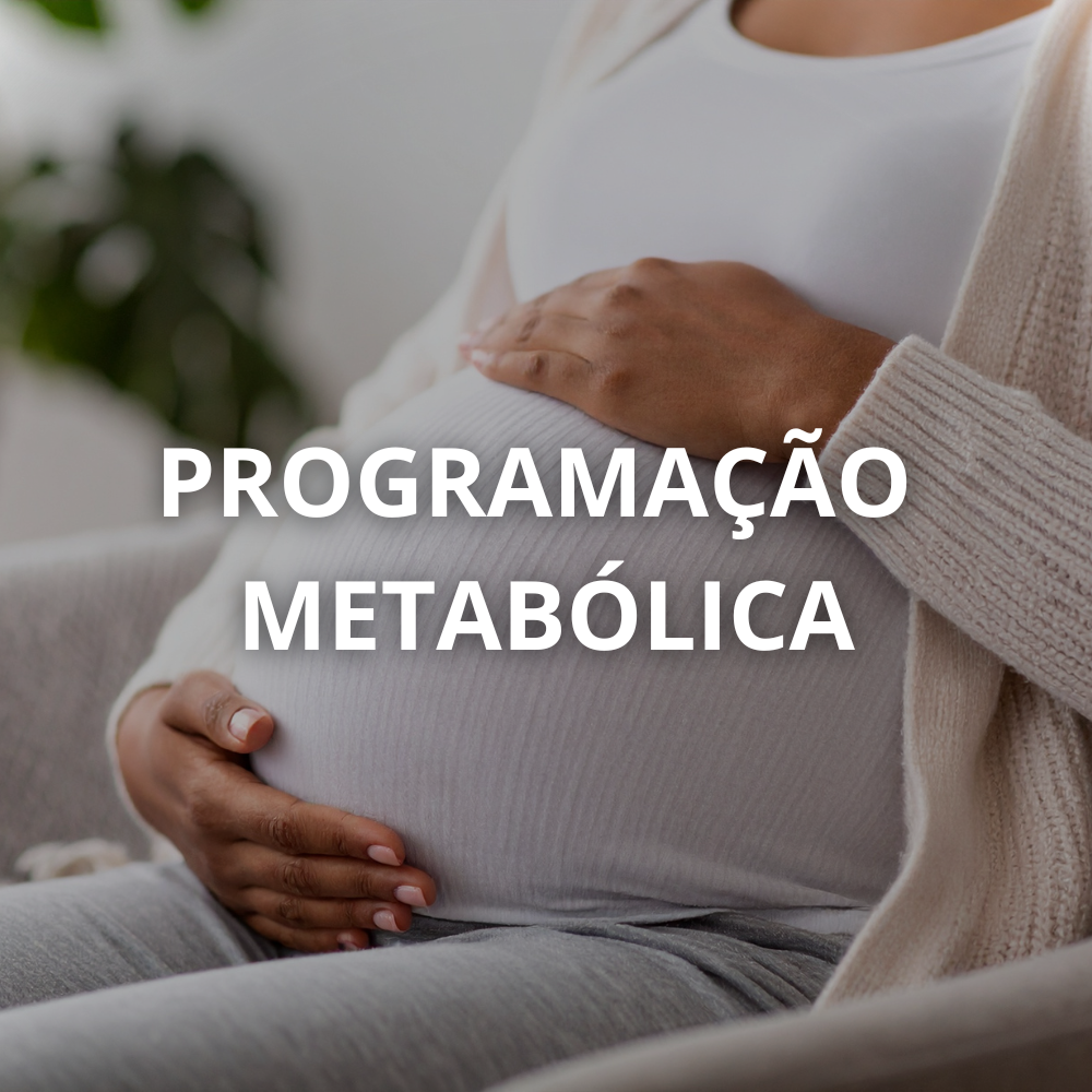 Programação metabólica durante a gestação