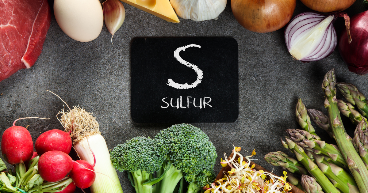 Fontes alimentares de cisteína