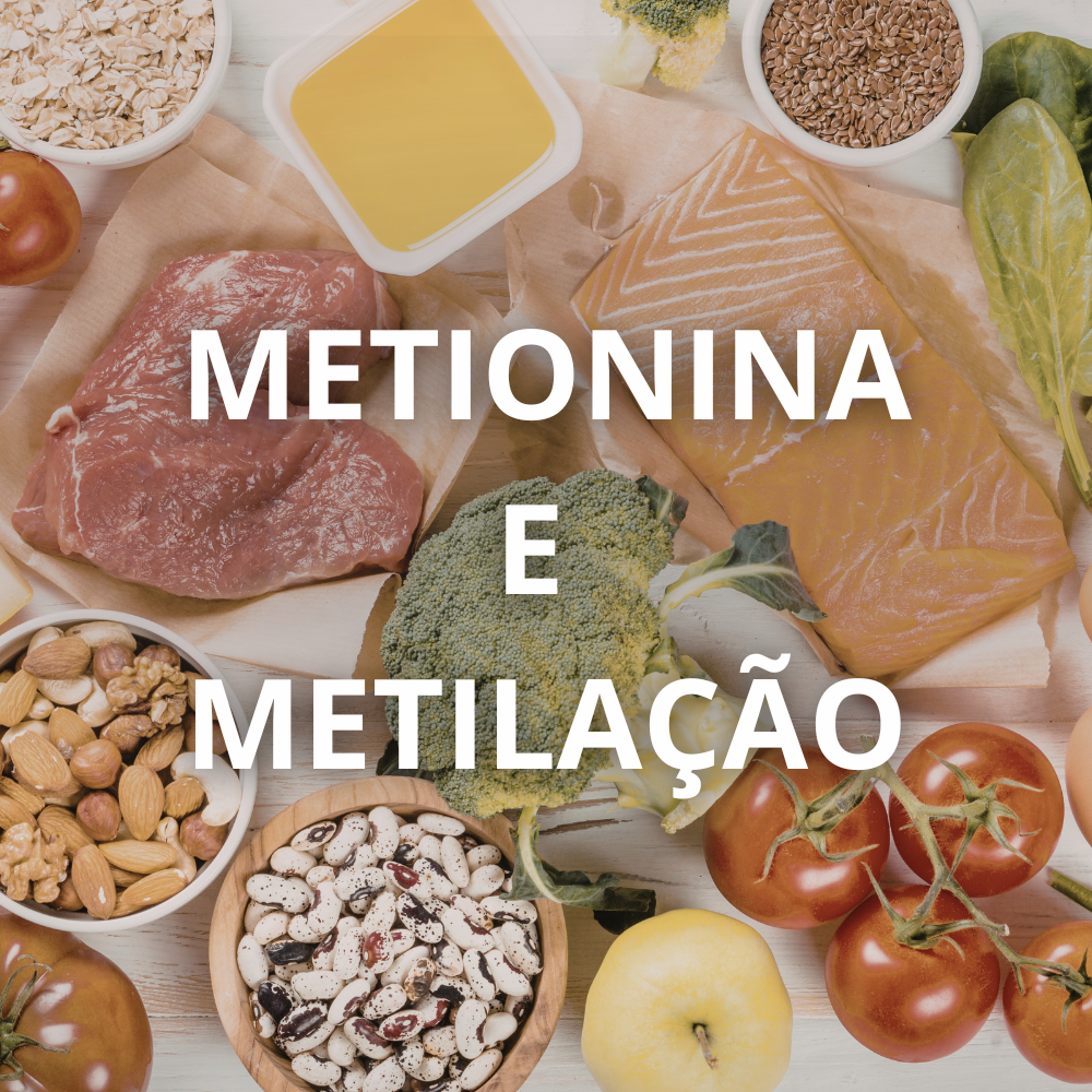 Metionina: para que serve e como ativa o metabolismo