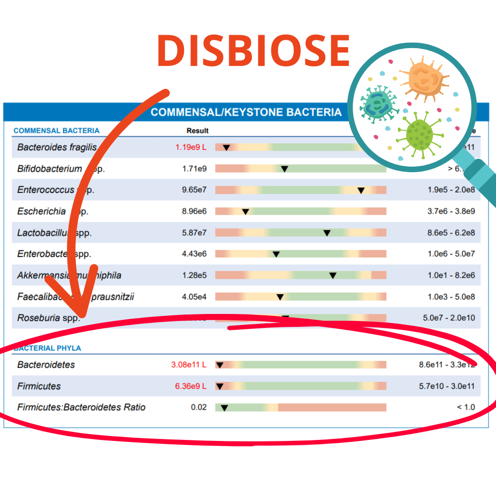 Representação gráfica de exame do microbioma