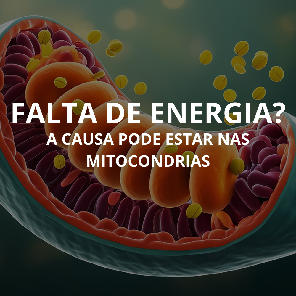 Mitocôndrias produzindo energia ATP dentro da célula