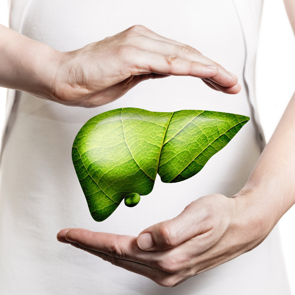 Representação de fígado saudável com proteção antioxidante