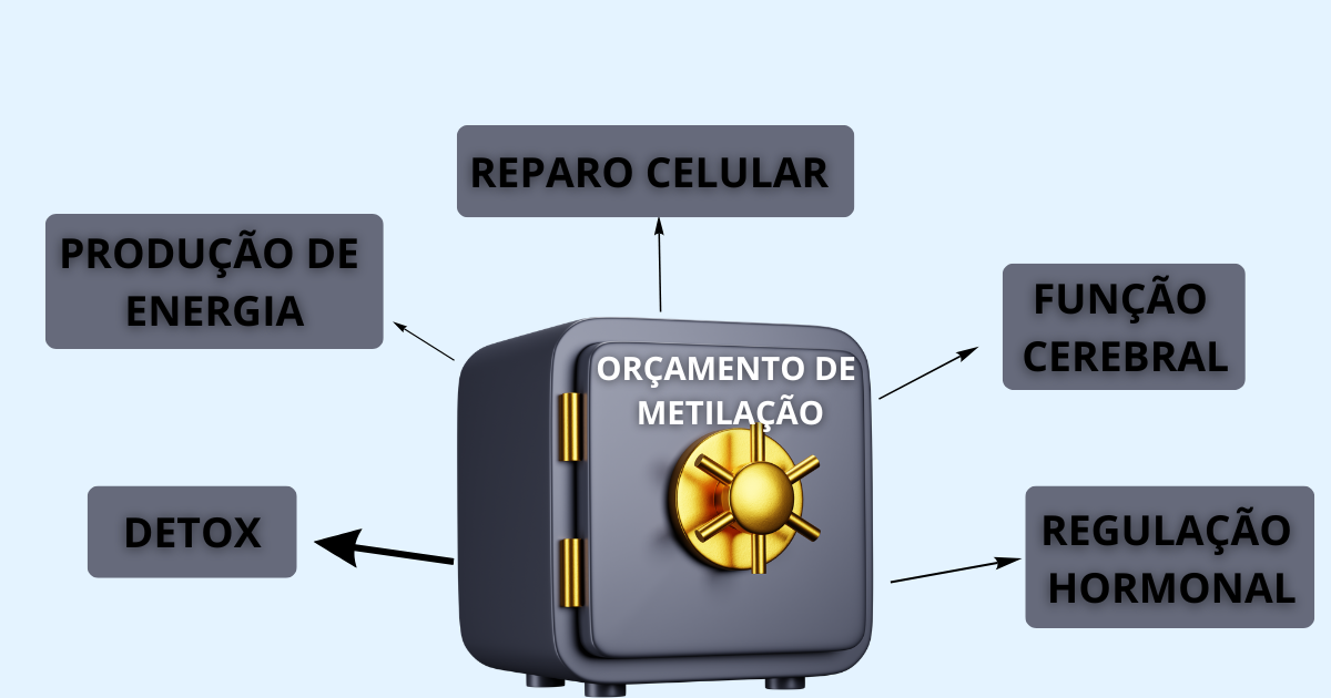 Metilação como orçamento metabólico
